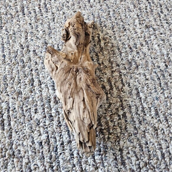 Driftwood Decor Terrarium Combo Pack Taxidermy Aquarium Aquascape Reptile Parrot - Picture 9 of 11